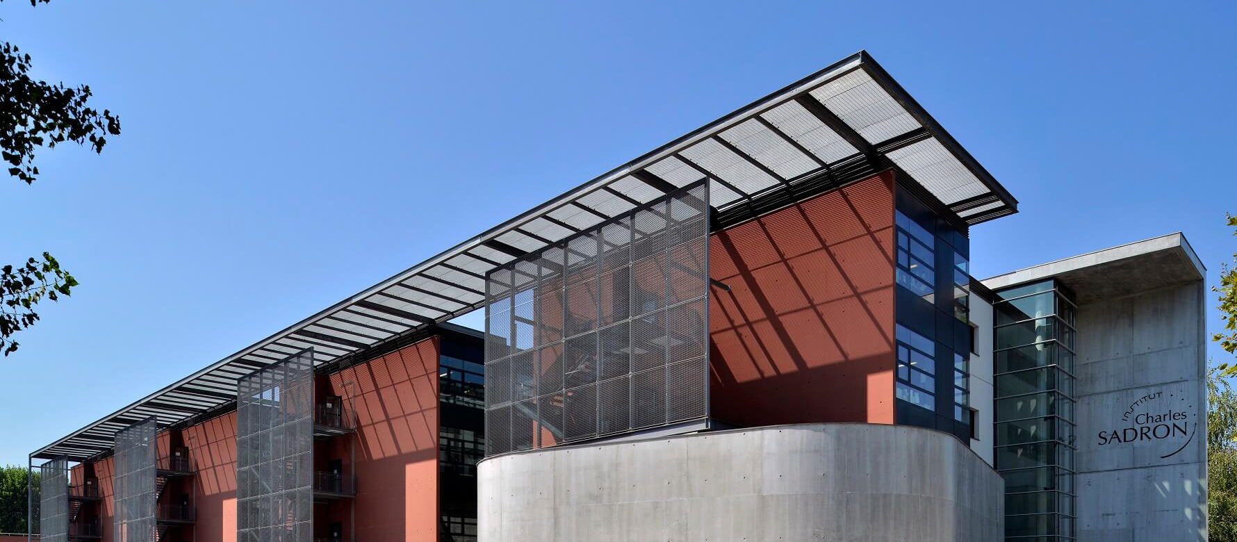 institut charles sadron